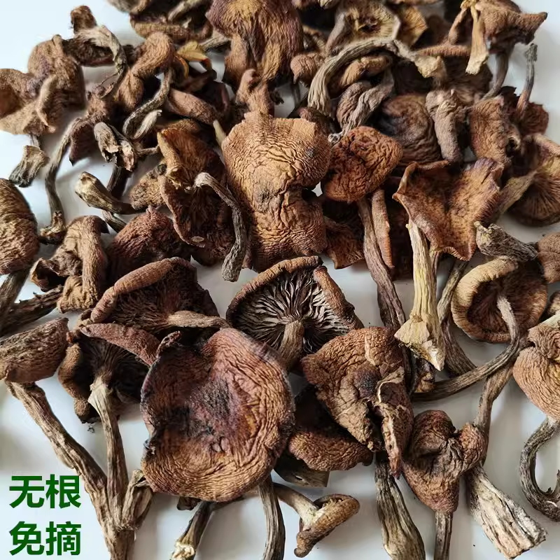 东北野生榛蘑干货珍蘑菇干真蘑250g黑龙江伊春特产臻蘑干蘑菇礼盒,淘宝优惠券,粉丝福利购,淘宝优惠卷
