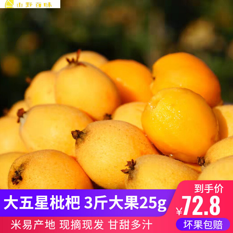 米易五星枇杷大果3斤25g纯甜攀枝花核心产区自然熟现摘水果带箱