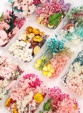 DIY混装花盒混合干花花材包手工材料包家居装饰真花风干天然制作