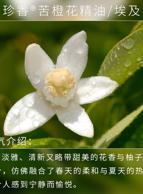 珍香苦橙花精油纯花无枝叶单方