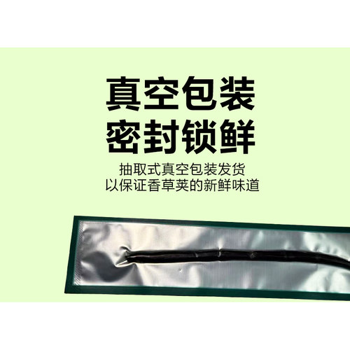 产地直供马达加斯加进口香草荚/香草棒/香草兰豆独立包装 - 图0