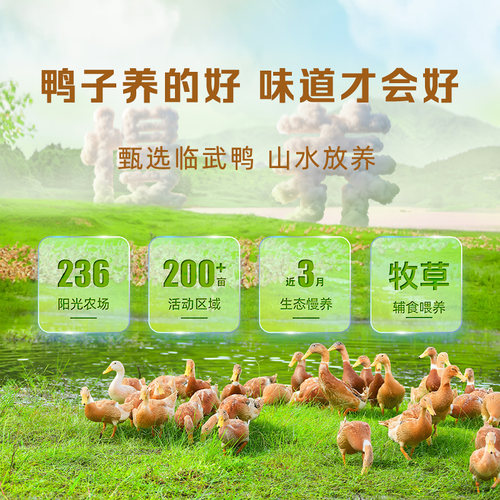 舜华酱板鸭湖南长沙特产正宗临武鸭开袋即食手撕板鸭过节送礼 - 图1