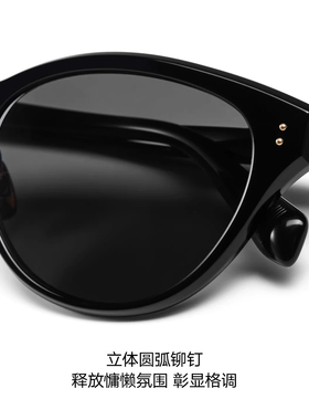 【防伪可查】暴龙眼镜26新款偏光墨镜潮流百搭方圆太阳镜男BL3262