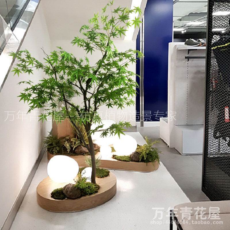 日本枫树22年8月 月销口碑最新推荐 天猫淘宝海外