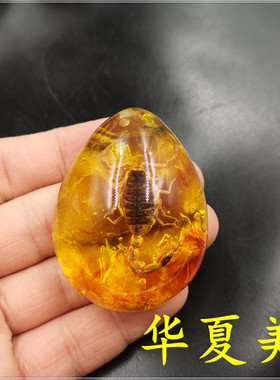 原石吊坠蝴蝶挂件昆虫琥珀