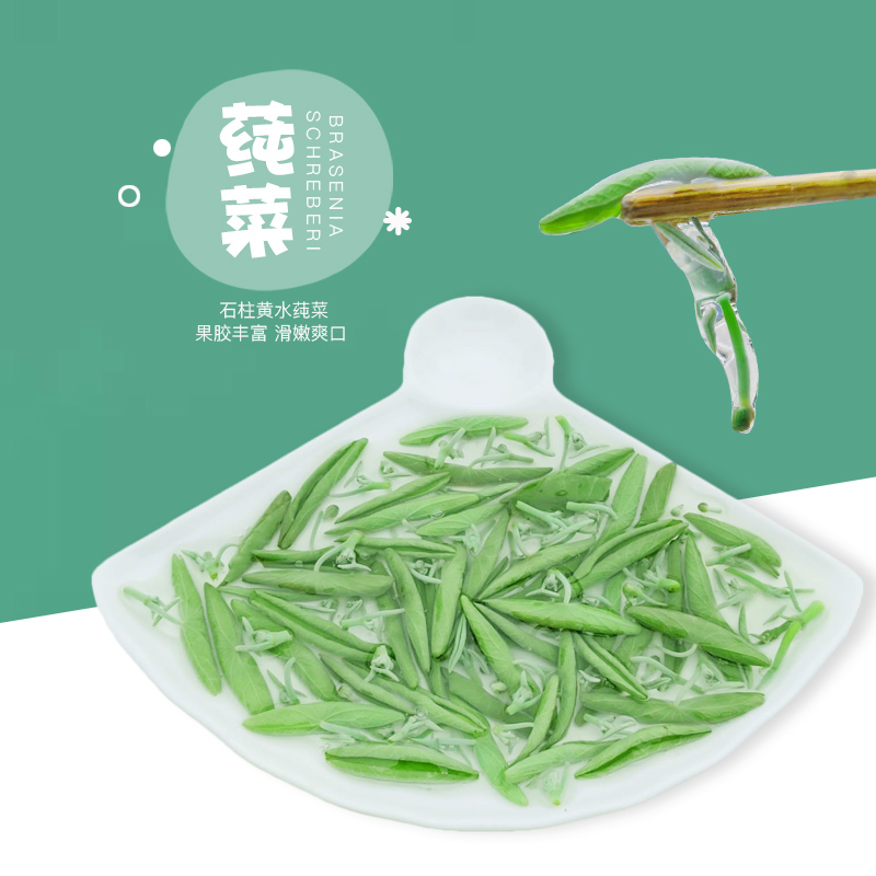 辛丫头重庆石柱莼菜新鲜纯菜叶芽马蹄菜320克非太湖西湖利川莼菜 - 图1