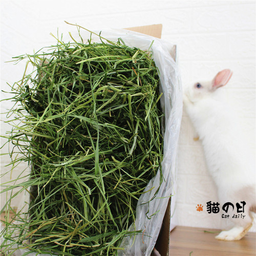 26年赫尔达南提摩西草烘干新鲜提莫西兔子牧草粮龙猫豚鼠毛重1kg - 图2