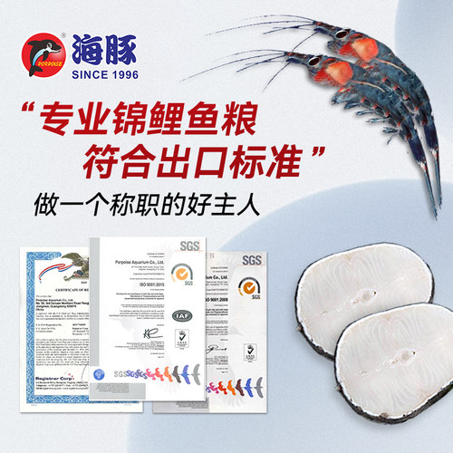 海豚锦鲤鱼饲料鱼粮螺旋藻增体专用鱼食颗粒金鱼观赏鱼不浑水通用 - 图1