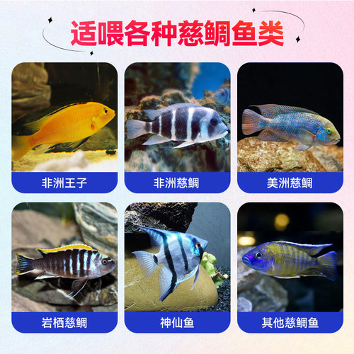 海豚三湖慈鲷饲料埃及鱼短鲷马鲷素食肉食鱼饲料卷贝下沉颗粒鱼食 - 图1