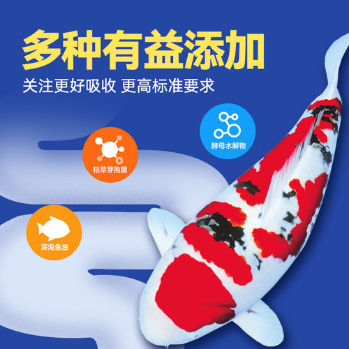 海豚锦鲤鱼饲料育成色扬增体锦鲤鱼食观赏鱼粮四季低温通用不浑水 - 图2