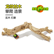 Climbing Pamper View Wood Snake mascara BAO WELN PALACE BOX MANE LIZARD Lions Lizard Climbing Double Crown Sundae Wooden Twigs Tree Branches Root