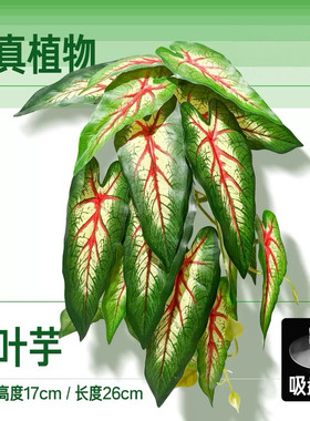 仿真龟背叶爬宠缸造景吸盘悬浮