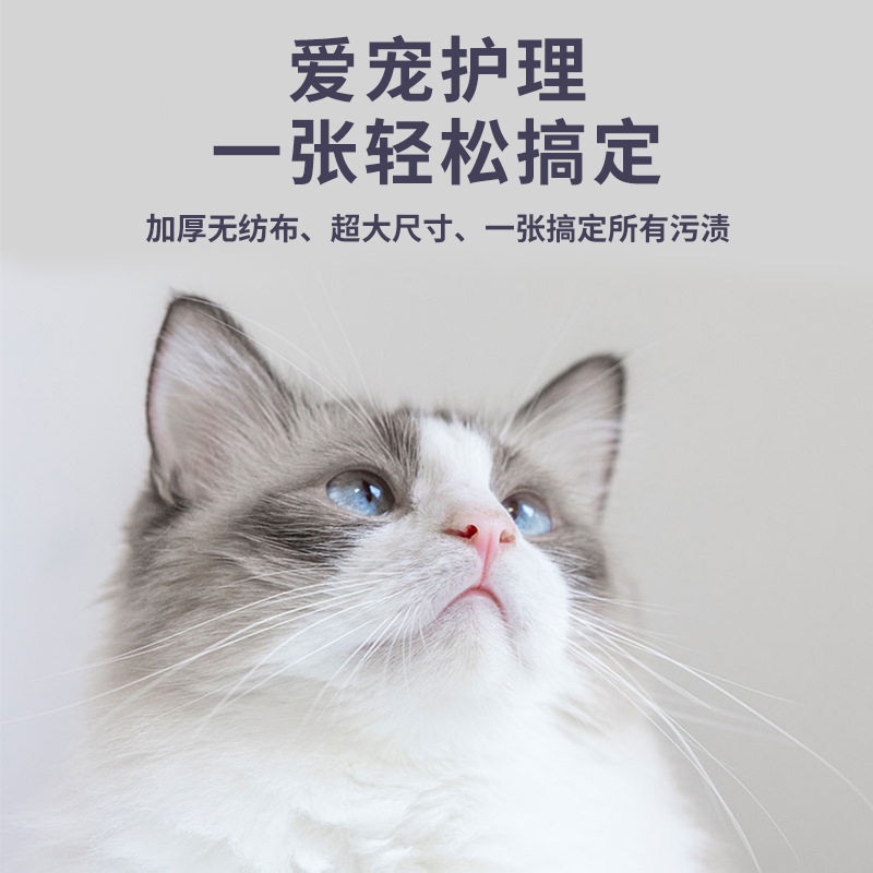 宠物湿巾片大包猫咪狗狗身体耳朵眼部去泪痕清洁湿纸巾猫狗湿巾,淘宝优惠券,粉丝福利购,淘宝优惠卷