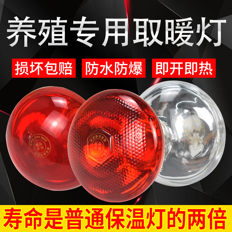 红外线保暖灯仔猪红外线灯泡取暖灯畜牧保温灯泡养殖场专用保暖灯,淘宝优惠券,粉丝福利购,淘宝优惠卷