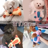 Собаки с игрушками чистые зубы щенки вокальные борьбы Тедди Корки Шиба Ину