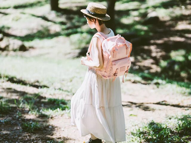 Donut Travel Student Backpack
