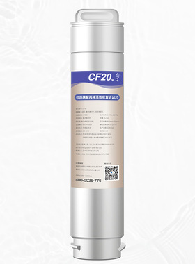 贝昂T-R100原装一号滤芯CF20-Zn+