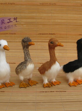 静态标本早教场景布置橱窗摆件