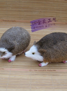 静态标本早教场景布置橱窗摆件