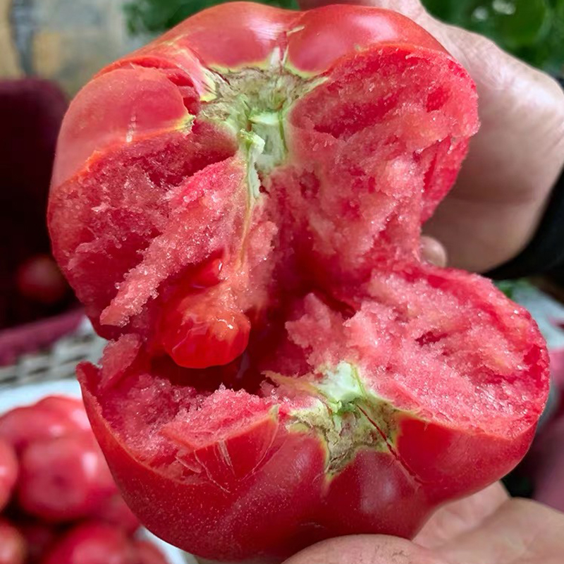 普罗旺斯西红柿新鲜蔬菜水果5斤自然熟10生吃沙瓤大番茄柿子包邮 - 图1