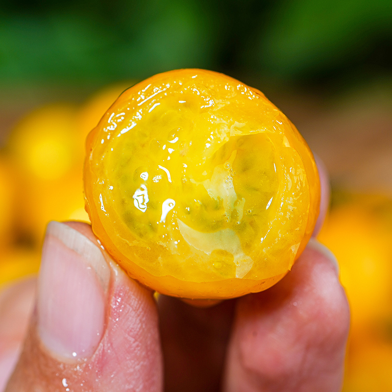 黄色金圣女果夏日阳光樱桃小番茄新鲜水果酸甜小西红柿千禧包邮