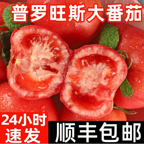 普罗旺斯西红柿新鲜蔬菜顺丰水果自然熟生吃沙瓤大番茄柿子包邮 图片 3