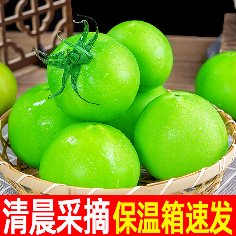 青番茄绿色西红柿新鲜大番茄生未成熟普罗旺斯柿子非自然熟圣女果