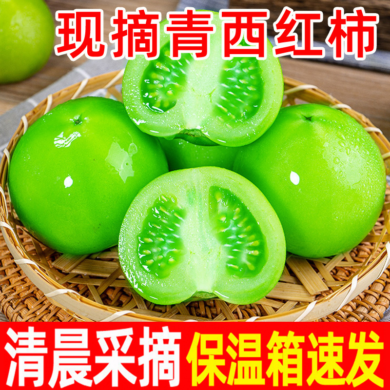 青番茄绿色西红柿新鲜大番茄生未成熟普罗旺斯柿子非自然熟圣女果