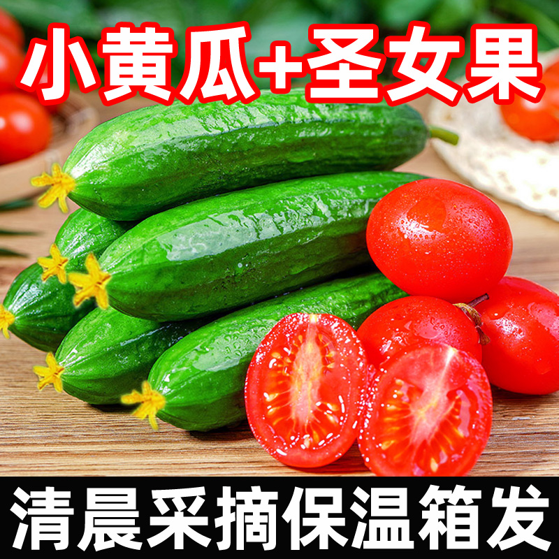 圣女果水果小黄瓜新鲜组合樱桃番茄小青瓜千禧西红柿子生吃自然熟