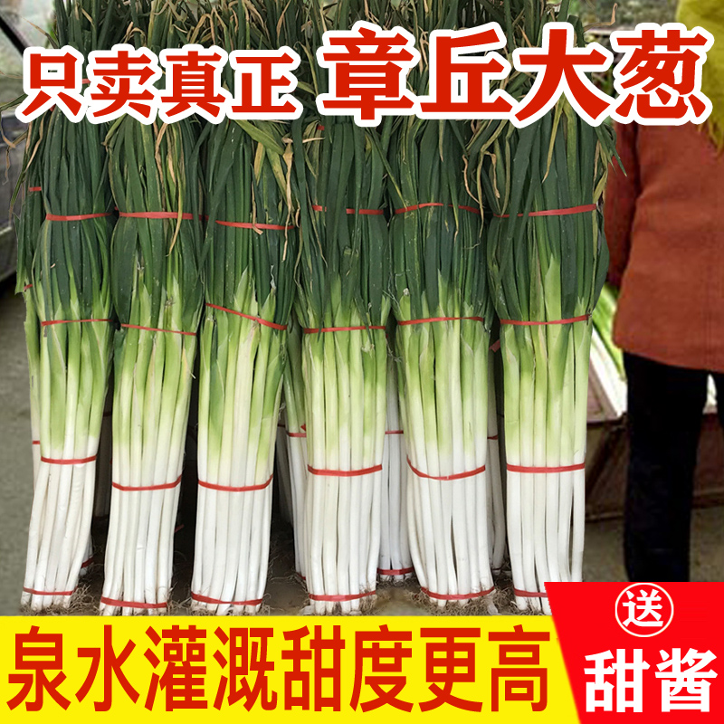 山东章丘大葱新鲜特级现挖正宗甜脆铁杆大葱特产蔬菜5斤香红葱头