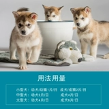 Pet Aobo Golden Film Pets Кот Золотые Собаки Собаки Собаки Тедди VIP BIN BERBIT BERBIN