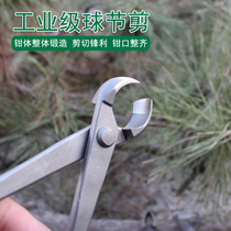 Bonsai Tool Ball Festival Cut Japan Spherical Tree Tumor Ball Festival Pincers Basin View Tree Branches Trim Pliers Professional Flat Mouth Walnuts Pliers