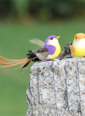 仿真小鸟装饰摆件教学道具真羽毛泡沫假鸟墙面捆绑壁挂园林树枝