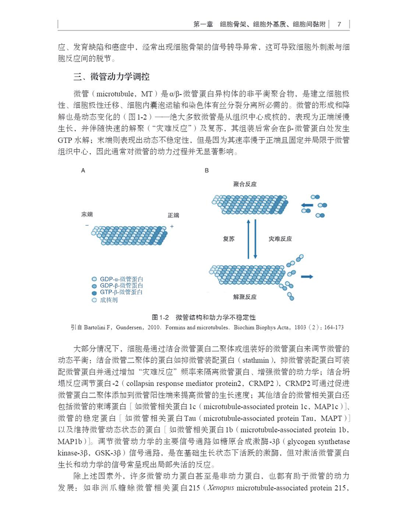 2023新书】细胞信号转导与疾病杨俊伟何伟春编细胞处理各类信号的生化机制以及信号转导在多种病理生理过程中的调控作用-图1