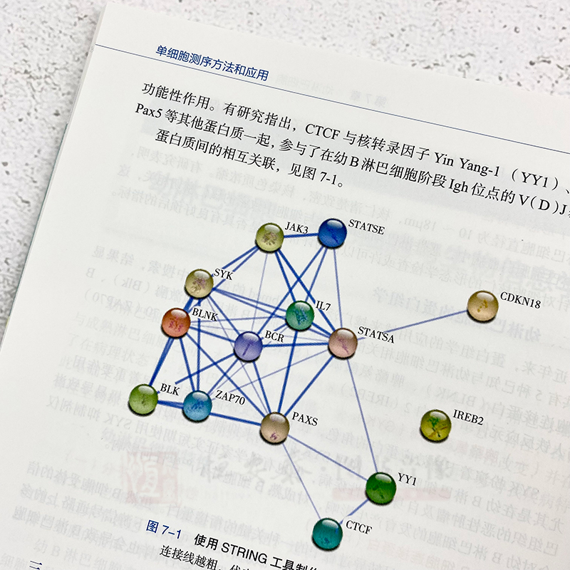 单细胞测序方法和应用王向东单细胞测序操作方法微生物学临床医学呼吸内科肿瘤科应用单细胞技术书籍表观遗传学代谢学科学出版社-图2