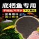 Benthic fish feed soft-shell turtle food sinking type Lanshou koi butterfly carp parrot fish blue shark lucky cat silver dragon universal