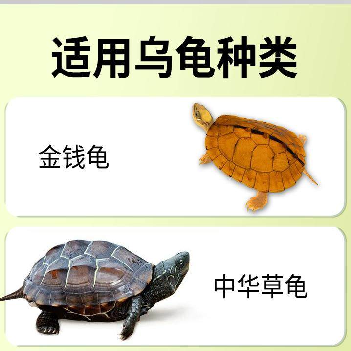 乌龟饲料龟粮草龟石金钱龟鳄鱼龟火焰龟养殖场通用包邮40斤,淘宝优惠券,粉丝福利购,淘宝优惠卷