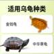 Turtle feed turtle food grass turtle stone money turtle crocodile turtle flame turtle breeding farm general shipping free 40 pounds