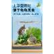 Turtle feed turtle food grass turtle stone money turtle crocodile turtle flame turtle breeding farm general shipping free 40 pounds