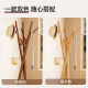 Nordic creative beech wood coat rack floor-standing and does not take up space