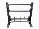 Dumbbell rack barbell plate kettlebell rack REPFORCE