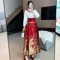 New Chinese Red Horse Noodle Dress Wedding Toast Suit Country Wind Improved Hanfu Adult Womens Winter Dress 2023 New