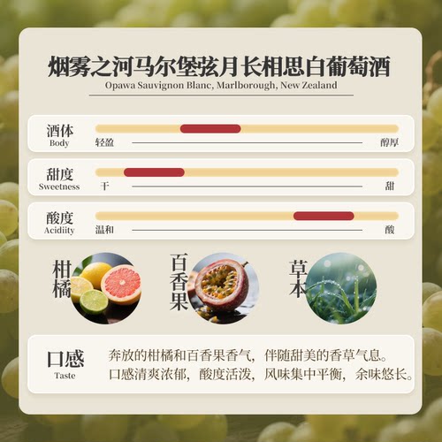 新西兰马尔堡烟雾之河长相思干白葡萄酒Sauvignon Blanc - 图1