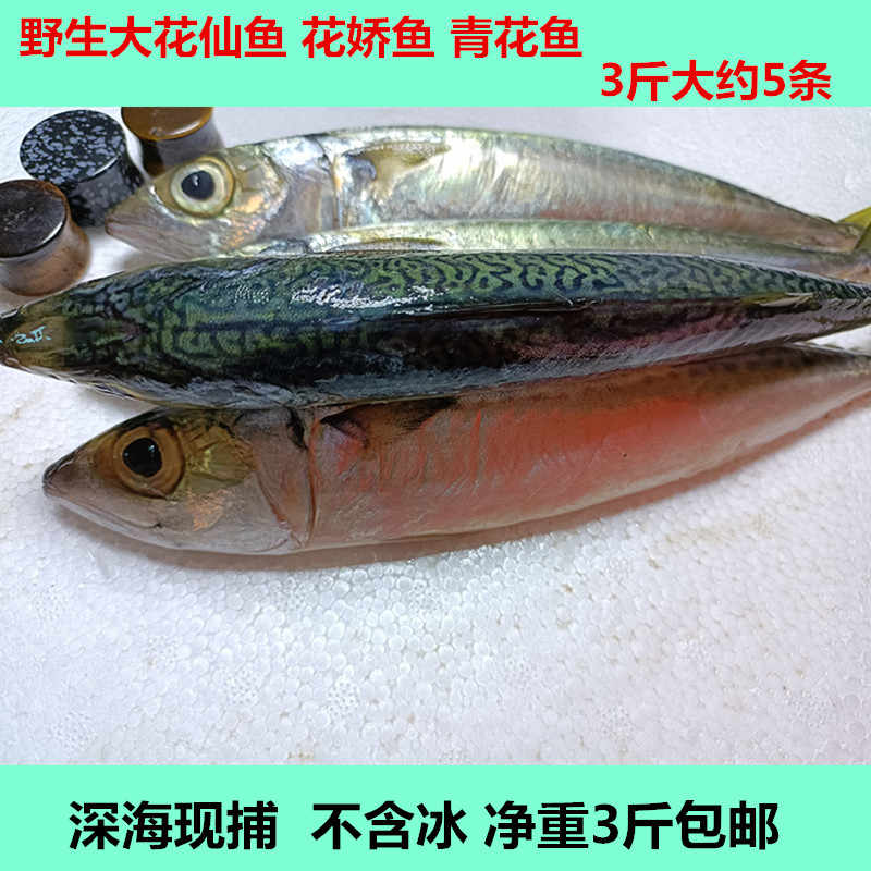 花仙鱼 新人首单立减十元 22年8月 淘宝海外