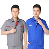 Более 20 цветов одежды летние услуги по страхованию труда установили электрическую одежду из гостиничного отделения