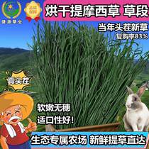 23 years New drying special class TiMoses grass hay hay timblea rabbit dragon cat North Tiguinea pig herd Dutch pig herd 500g