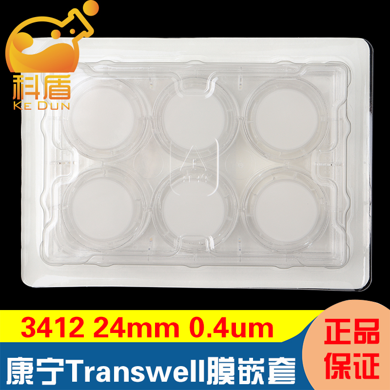 授权经销商康宁Corning 3412 Transwell嵌套，含6孔板（PC膜，24mm，孔径0.4um)-图0