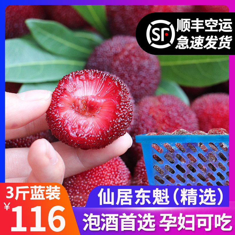 苏虞旗舰店仙居杨梅新鲜冷冻冰冻速冻冰镇杨梅泡酒孕妇东魁杨梅3斤 顺丰包邮0