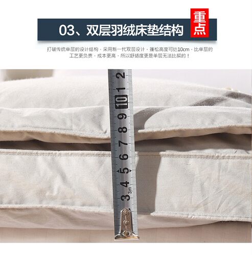 希尔顿酒店同款A类羽绒床垫家用软垫白鹅毛全棉床褥双层加厚10cm - 图2