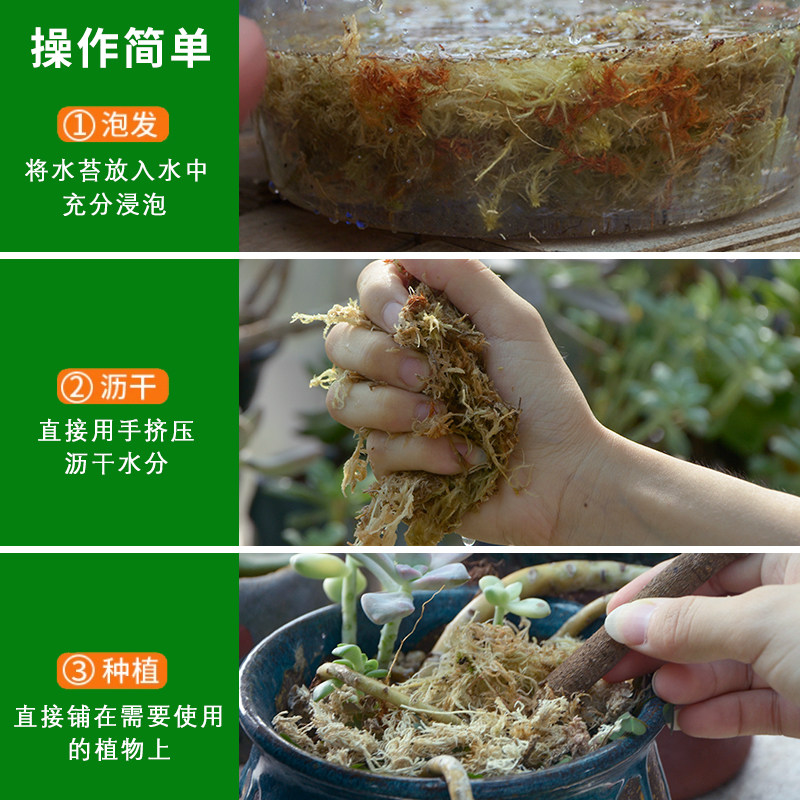 天热干苔青苔藓无杂质蝴蝶兰专用营养土石斛兰花栽培基质造景垫材,淘宝优惠券,粉丝福利购,淘宝优惠卷